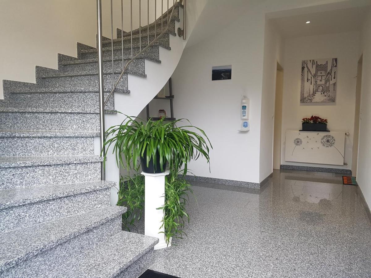 Ferienhaus Moselcharme 阿尔肯 外观 照片